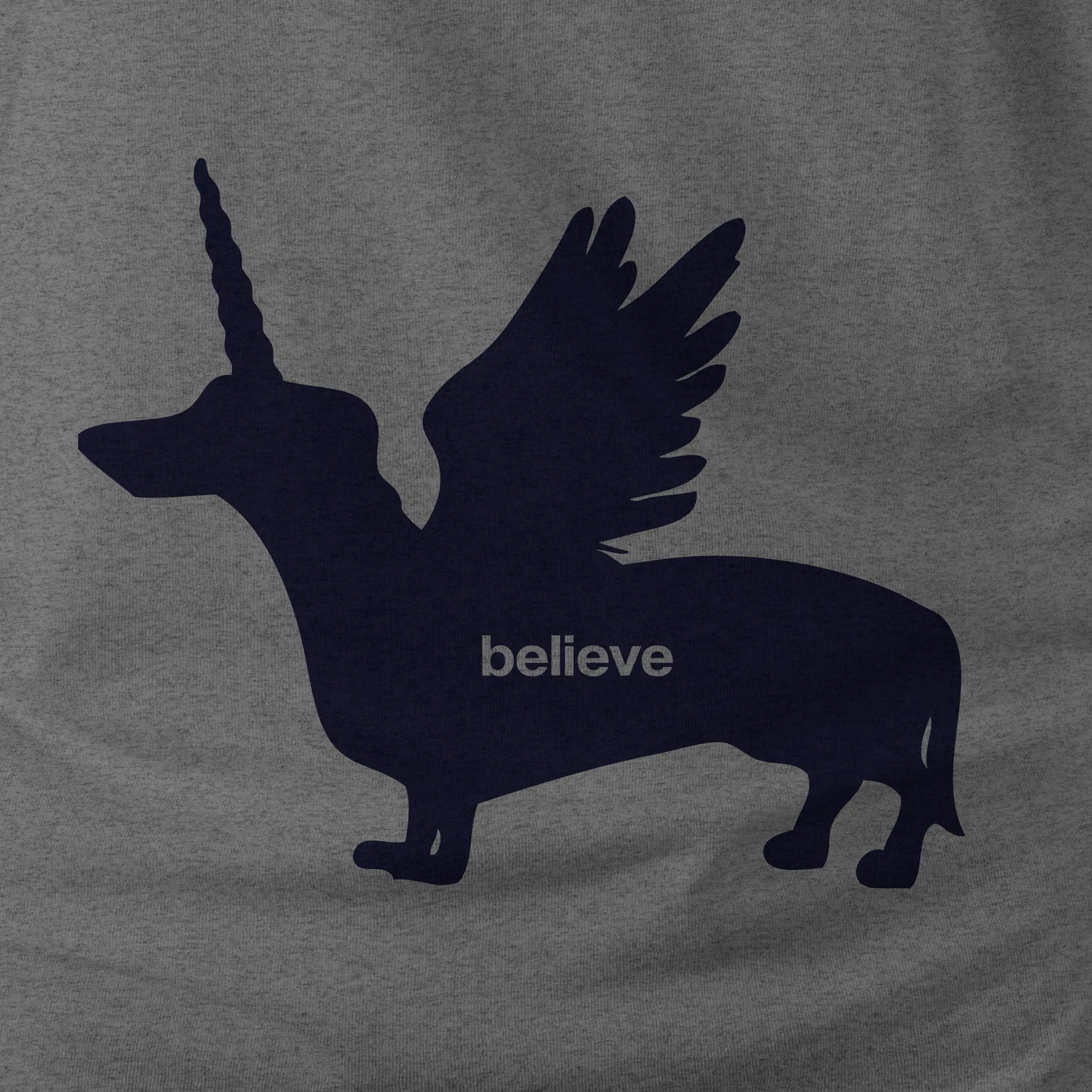 BELIEVE - PEGAWEENICORN