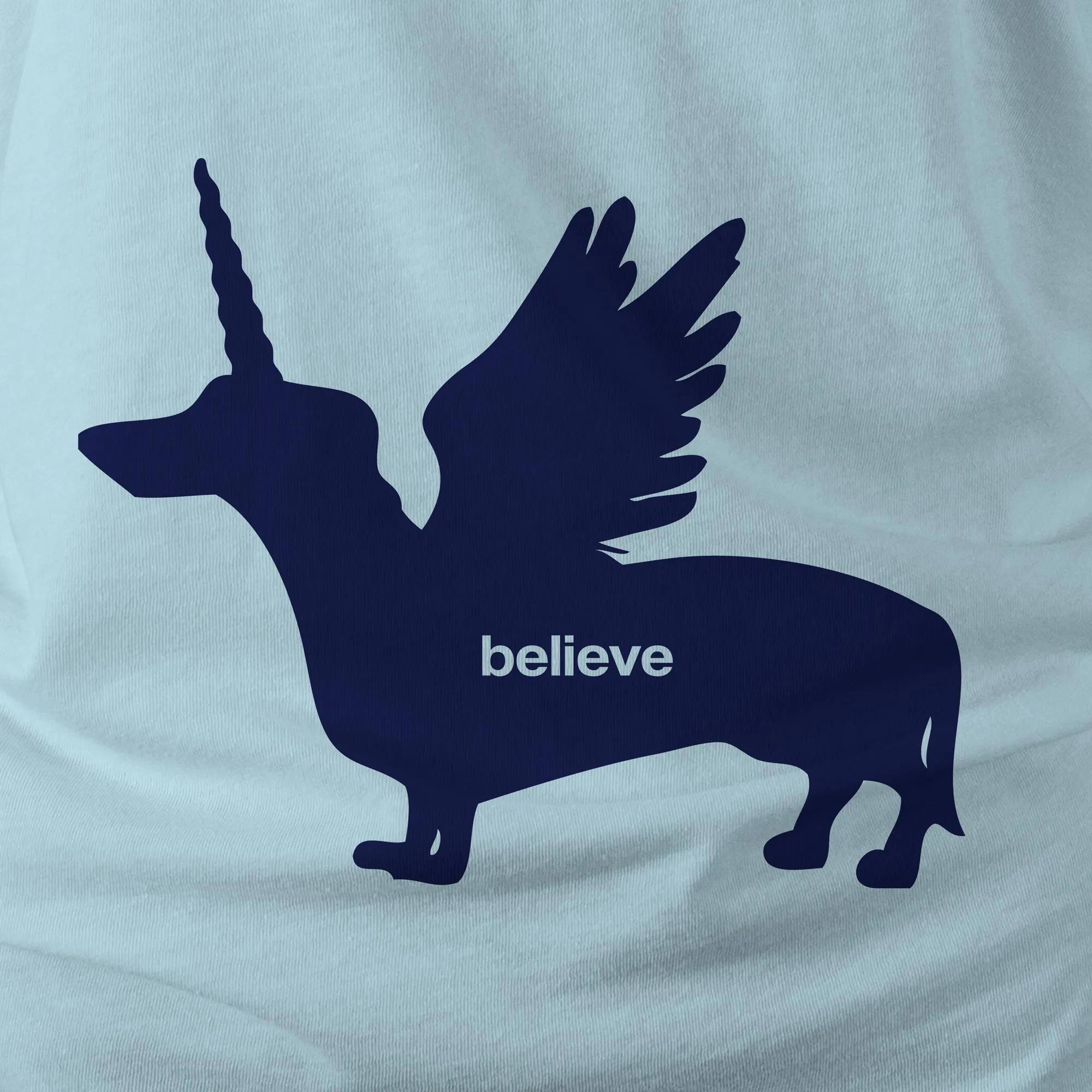 BELIEVE - PEGAWEENICORN
